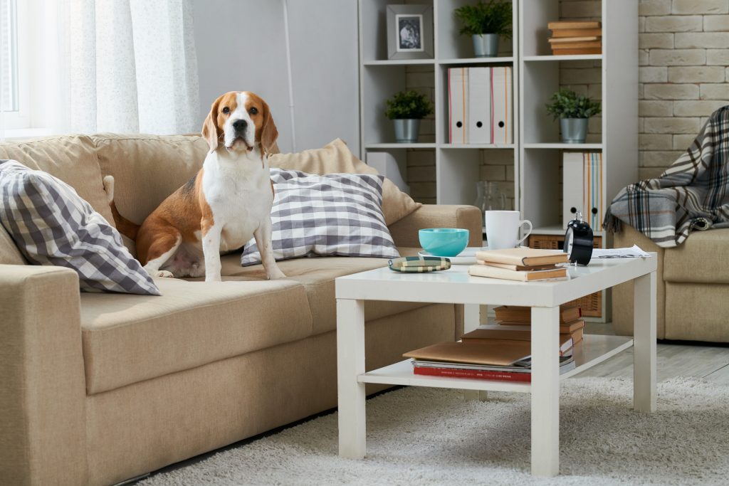New home builder incentives galore